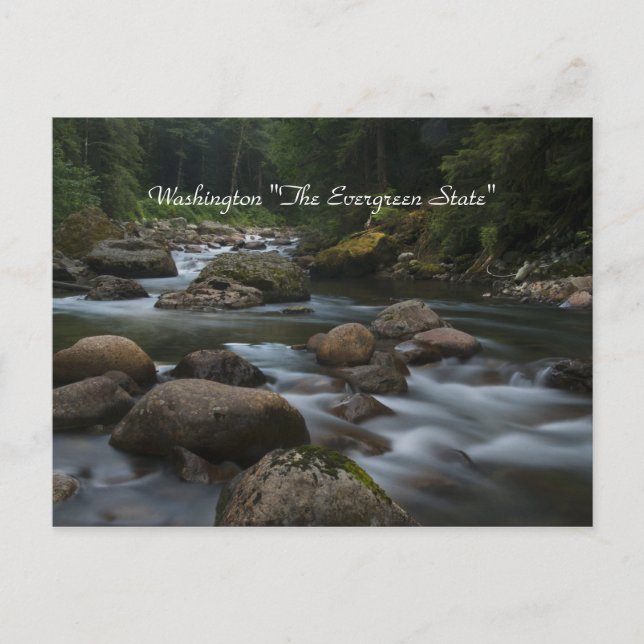 Washington "Evergreen State" Vykort (Framsida)
