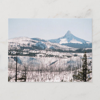 Washington från Santiam Pass Vykort