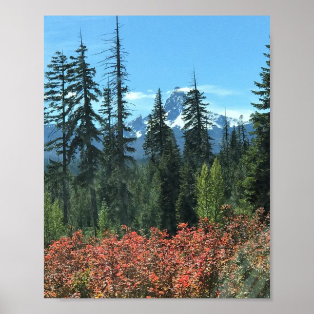 Washington i höst, ELLER Poster (Framsidan)