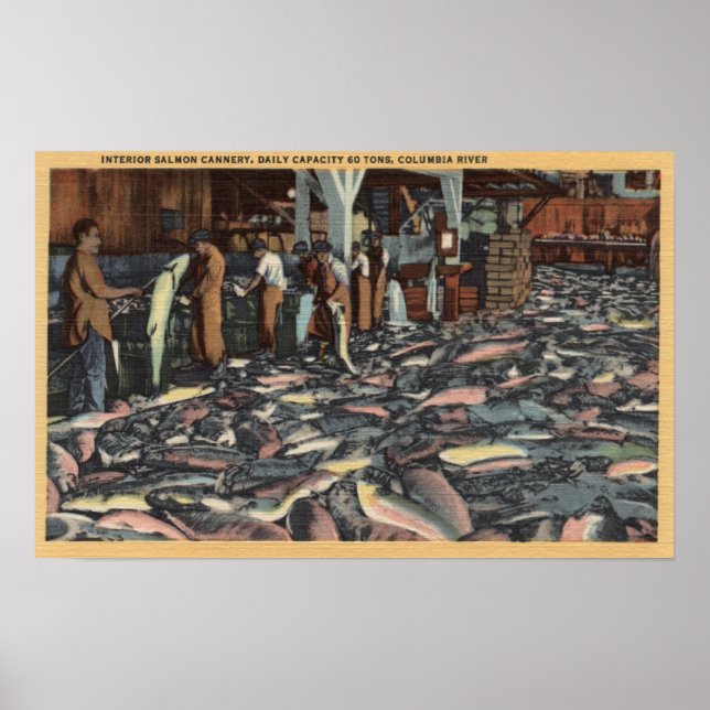Washington - Insida View of a Salmon Poster (Framsidan)