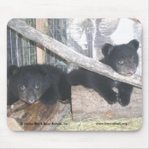 Washington kopplar samman Mousepad 2009 Musmatta