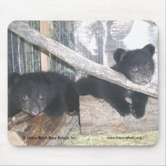 Washington kopplar samman Mousepad 2009 Musmatta