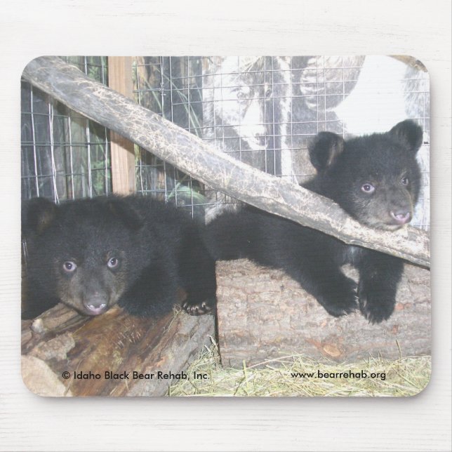 Washington kopplar samman Mousepad 2009 Musmatta (Framsidan)