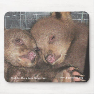Washington kopplar samman Mousepad 2010 Musmatta