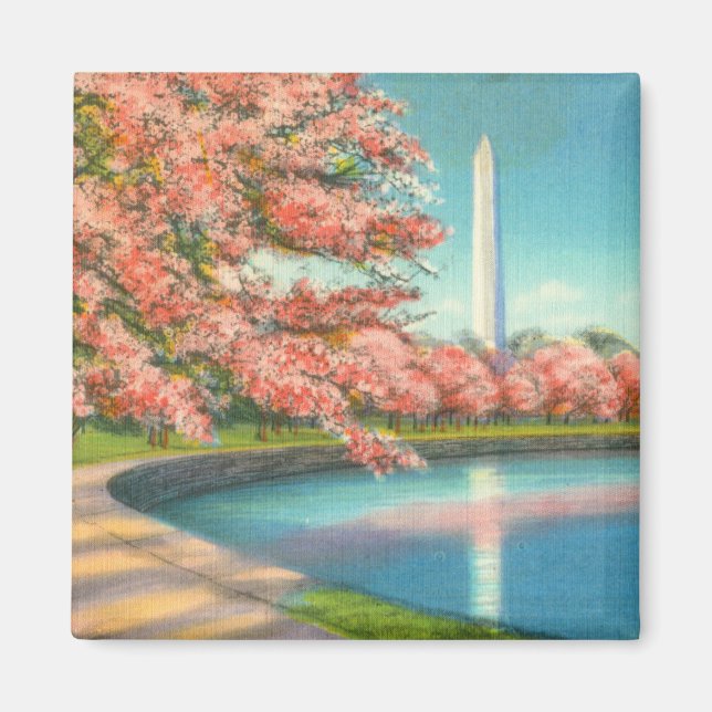 Washington Magnet (Framsidan)