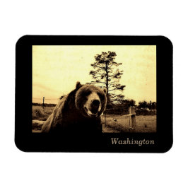 Washington Magnet