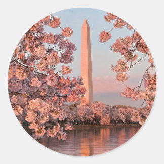 Washington Monument and Cherry Blossoms Sticker Runt Klistermärke