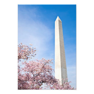Washington Monument Fototryck