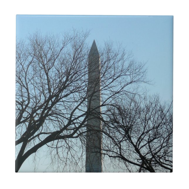Washington Monument i Winter I liggande Kakelplatta (Framsidan)