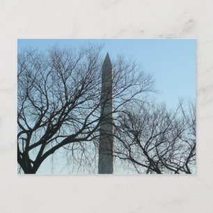 Washington Monument i Winter I liggande Vykort