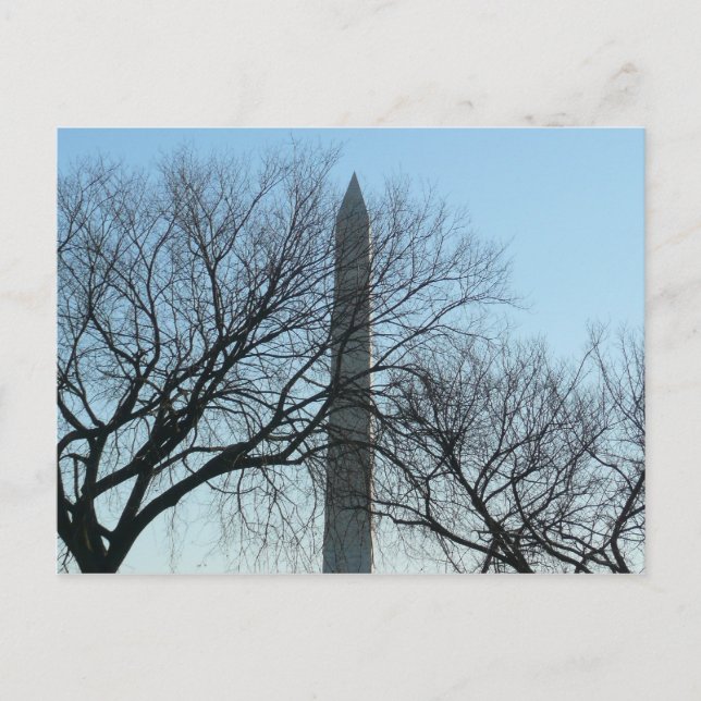 Washington Monument i Winter I liggande Vykort (Framsida)