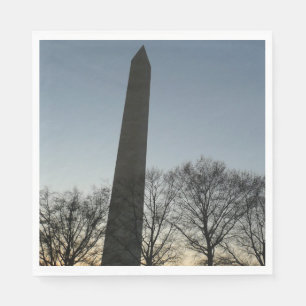 Washington Monument i Winter II Landskap Pappersservett