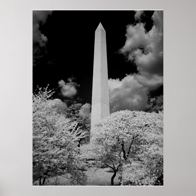 Washington Monument Poster (Framsidan)