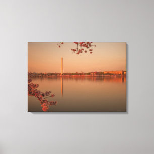 Washington monument Sakura på sunset.en Canvastryck