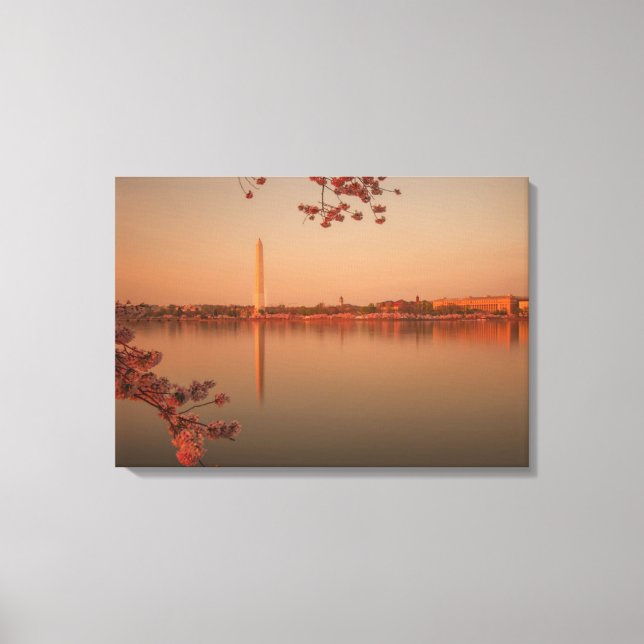 Washington Monument Sakura vid solnedgången. Canvastryck (Framsida)