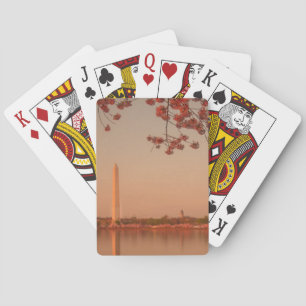 Washington Monument Sakura vid solnedgången. Spel Kort