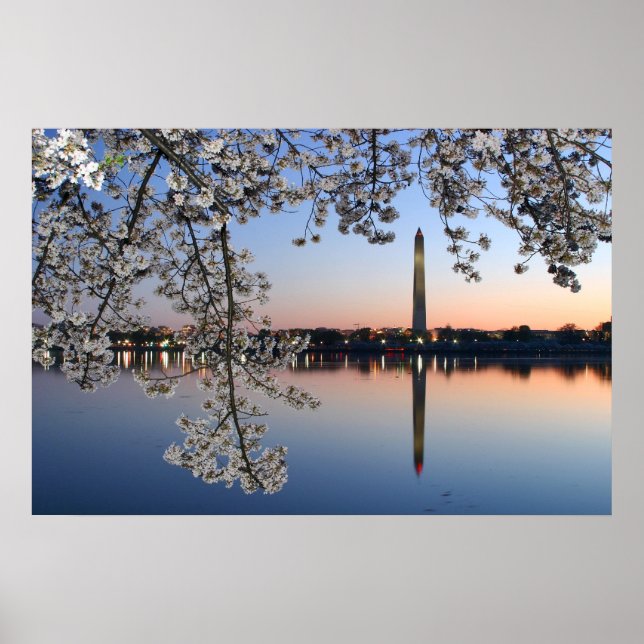 Washington Monument Vår Morgon Poster (Framsidan)