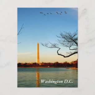 Washington Monument Vykort