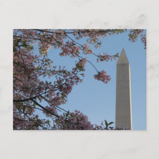 Washington Monument Vykort