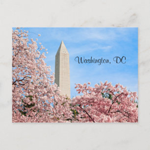 Washington Monument Vykort