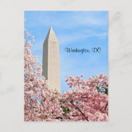 Washington Monument Vykort