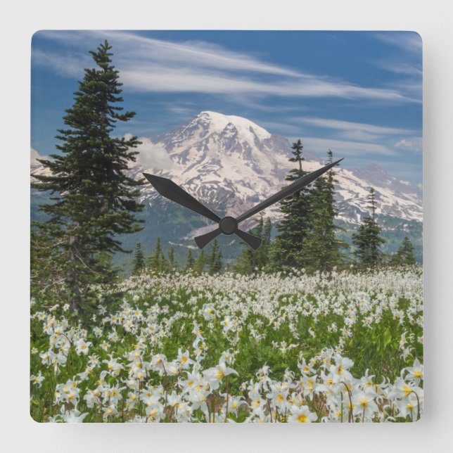 Washington, Mount Rainier nationalpark 1 Fyrkantig Klocka (Framsida)