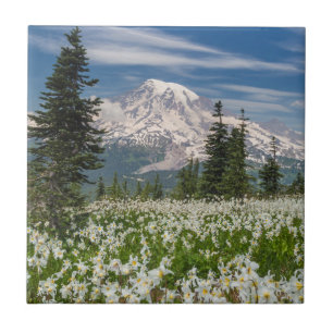 Washington, Mount Rainier nationalpark 1 Kakelplatta