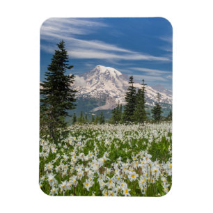 Washington, Mount Rainier nationalpark 1 Magnet