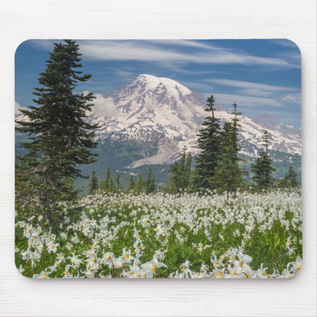 Washington, Mount Rainier nationalpark 1 Musmatta (Framsidan)