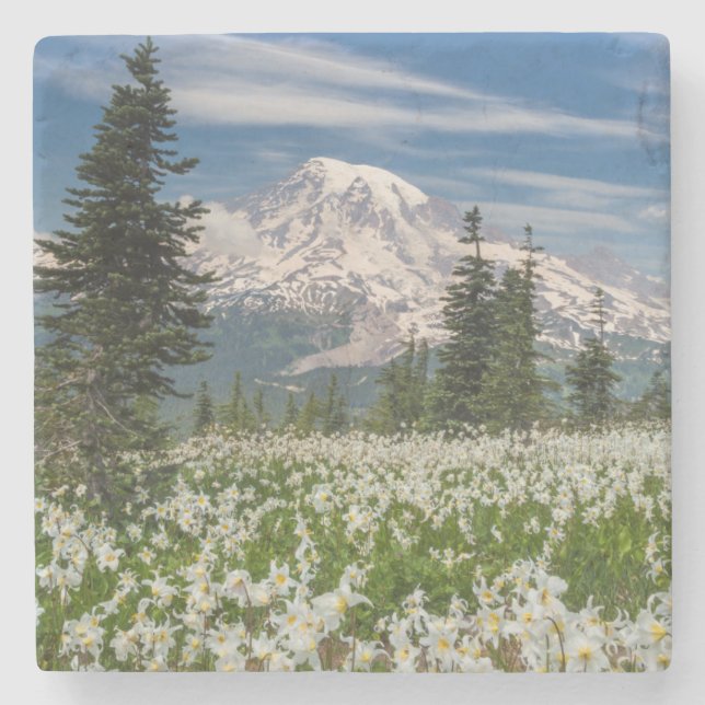 Washington, Mount Rainier nationalpark 1 Stenunderlägg (Framsidan)