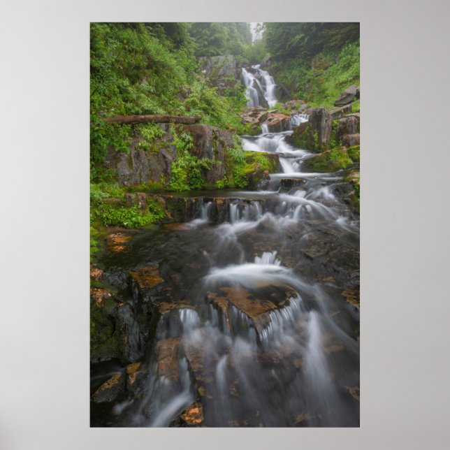 Washington, Mount Rainier nationalpark 2 Poster (Framsidan)