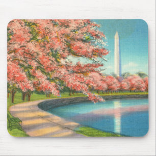 Washington Musmatta