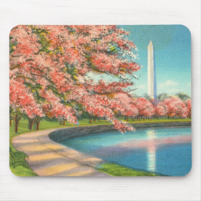 Washington Musmatta (Framsidan)