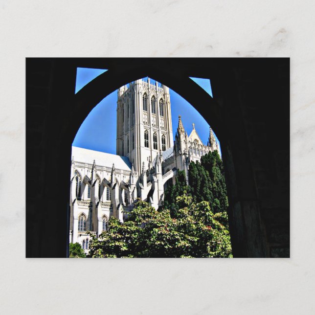 Washington National Cathedral Genom valv Vykort (Framsida)