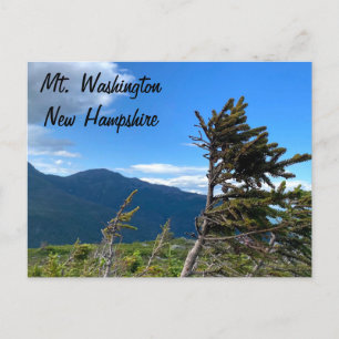 Washington, NH-vykort Vykort