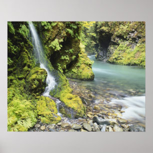 Washington, Olympic National Park, Säsong Poster