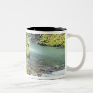 Washington, Olympic National Park, Säsongsbetonad Två-Tonad Mugg