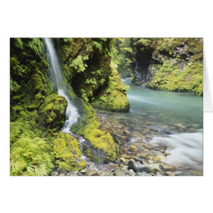 Washington, Olympic nationalpark, Säsongsbetonad Hälsningskort