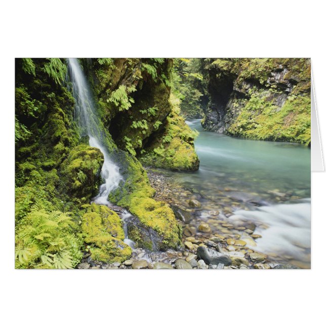 Washington, Olympic nationalpark, Säsongsbetonad Hälsningskort (Framsidan Horizontal)