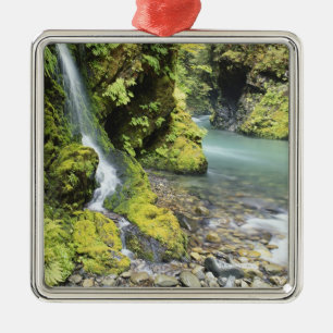 Washington, Olympic nationalpark, Säsongsbetonad Julgransprydnad Metall