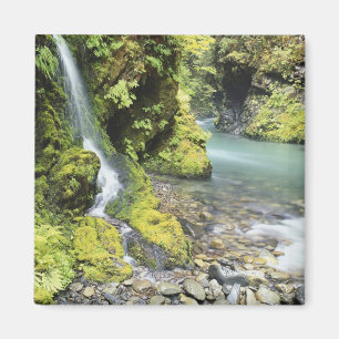Washington, Olympic nationalpark, Säsongsbetonad Magnet