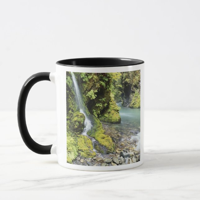 Washington, Olympic nationalpark, Säsongsbetonad Mugg (Vänster)
