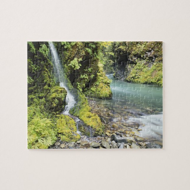 Washington, Olympic nationalpark, Säsongsbetonad Pussel (Horisontell)