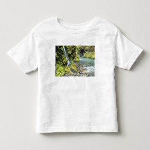 Washington, Olympic nationalpark, Säsongsbetonad T Shirt