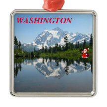 Washington Panoramic jul Ornament