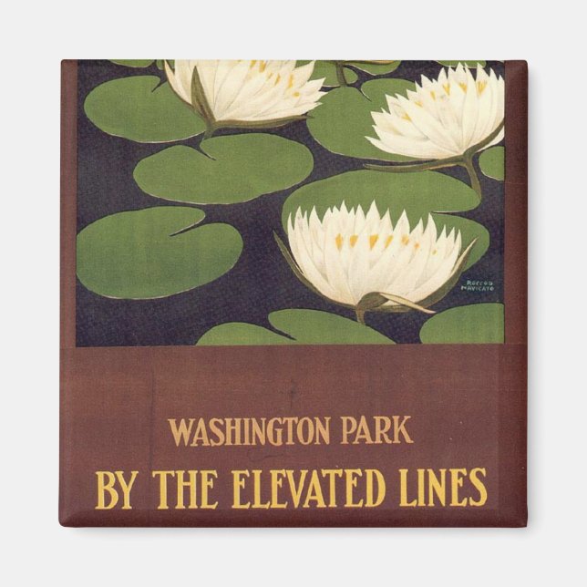 Washington Park Magnet (Framsidan)
