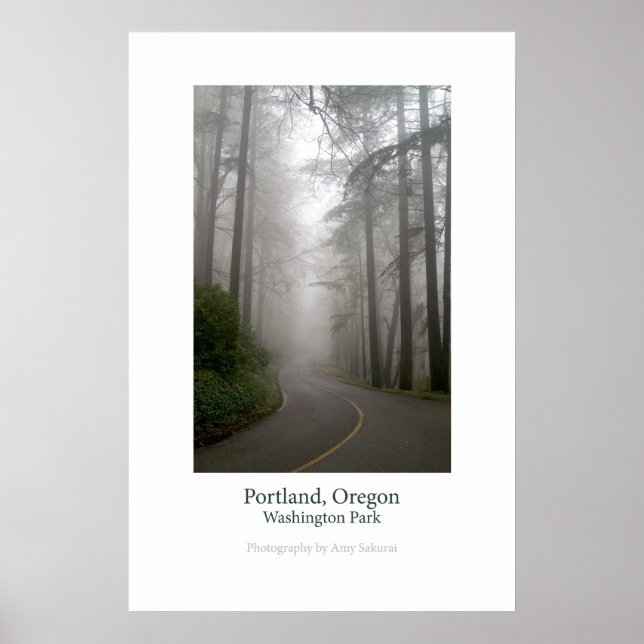 Washington Park Poster (Framsidan)