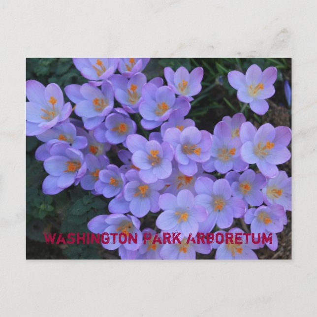 Washington parkerar arboretumen meddelande vykort (Framsida)