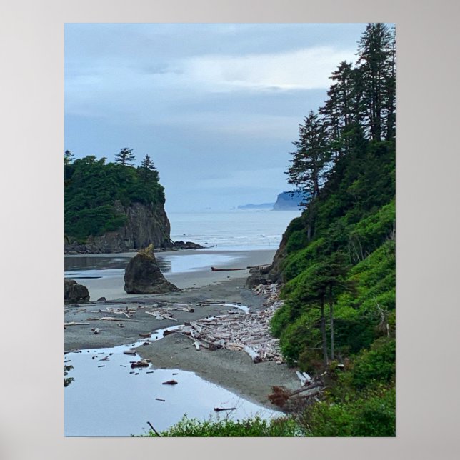 Washington Rocky Ruby Beach Poster (Framsidan)