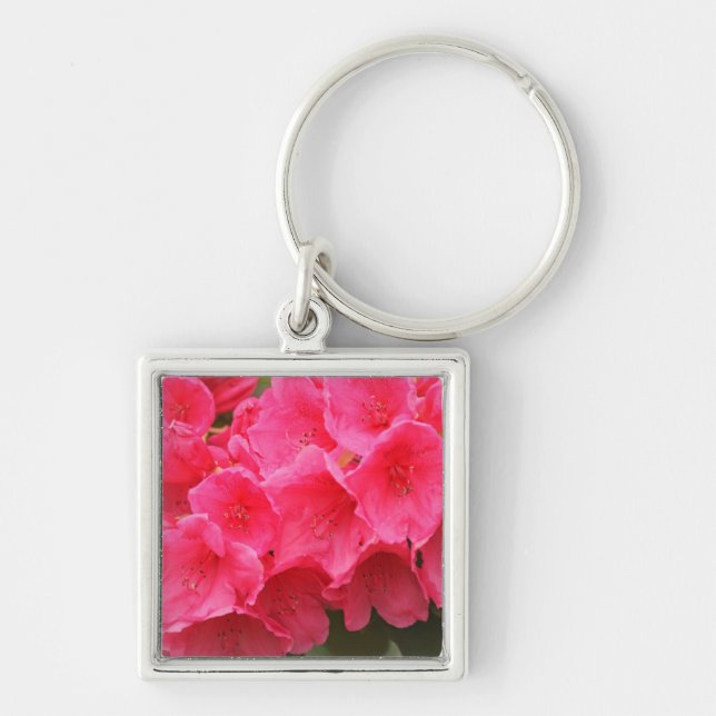 Washington, Seattle, Puget Ljud, Discovery Park Fyrkantig Silverfärgad Nyckelring (Framsidan)